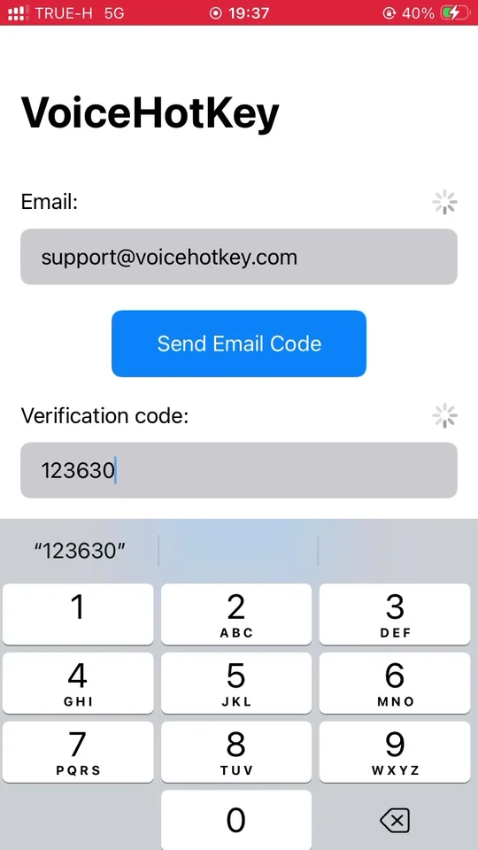 Codice di verifica inserito, pulsante Log in