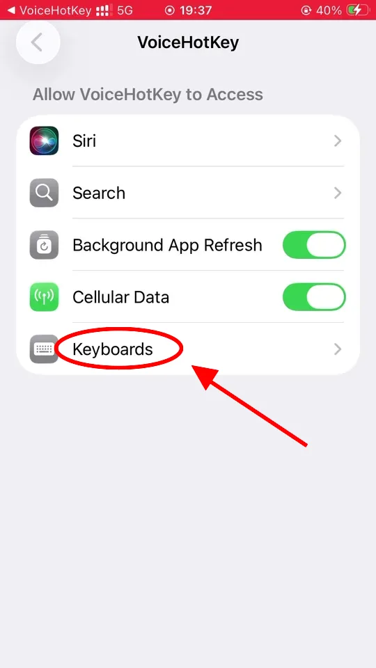Impostazioni di iOS che mostrano gli accessi di VoiceHotKey